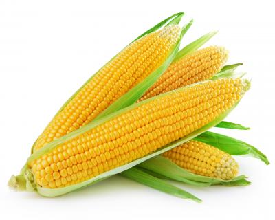 Corn 2 For