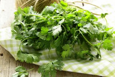 Cilantro (pcs)