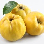 Quince Apple 1pcs.