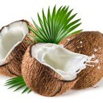 Coconut Each