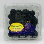 Blackberries Mures 170g.