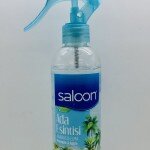 Saloon Ada Esintisi Ananas & Elma 400ml