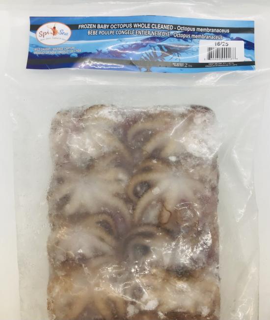 Frozen Baby Octopus Whole Cleaned 2.1lb