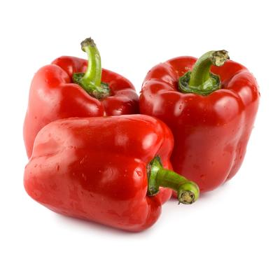 Red Pepper