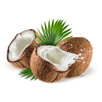 Coconut Each
