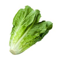 Green Lettuce (lb.)