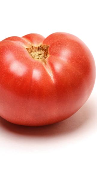 Regular Tomato (lb.)