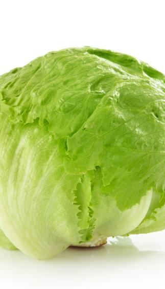 Fms Lettuce (pcs)