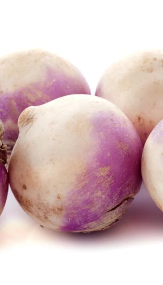 Turnips (lb.)