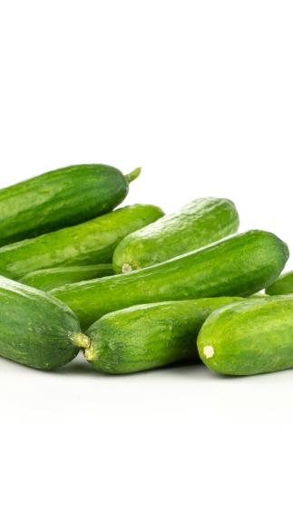 Seedless Cucumber