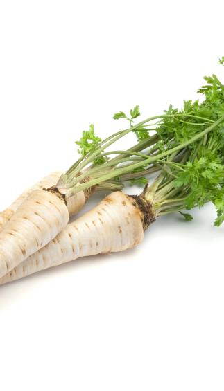 Root parsley (pcs)