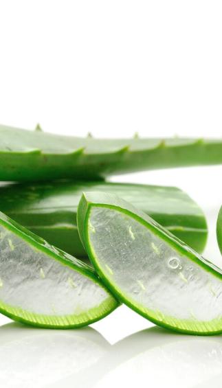 Aloe Vera (pcs)