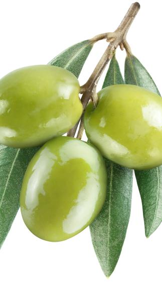 Green Olives Manzanillo (lb.)