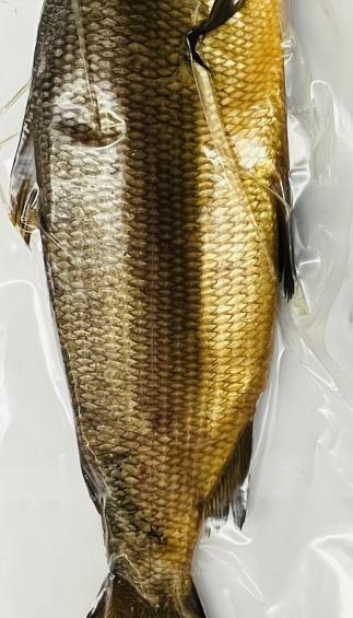 Haifa White Fish Cold Smoked (lb.)