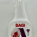 Bagi