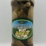 Whole Mushrooms Oyster 580mL.