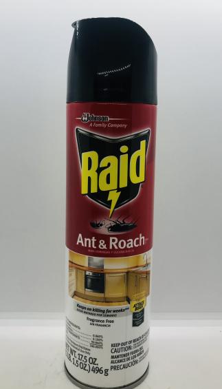 Raid Ant & Roach Fragrance Free 496g