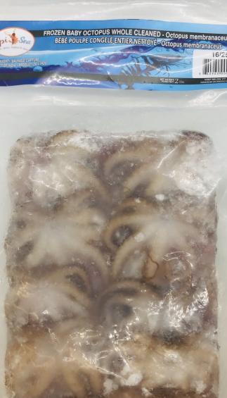 Frozen Baby Octopus Whole Cleaned 2.1lb